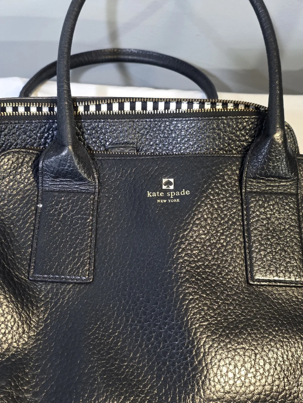 Kate Spade Classic Southport Avenue Lydia Peppled Leather Satchel Tassles Preppy